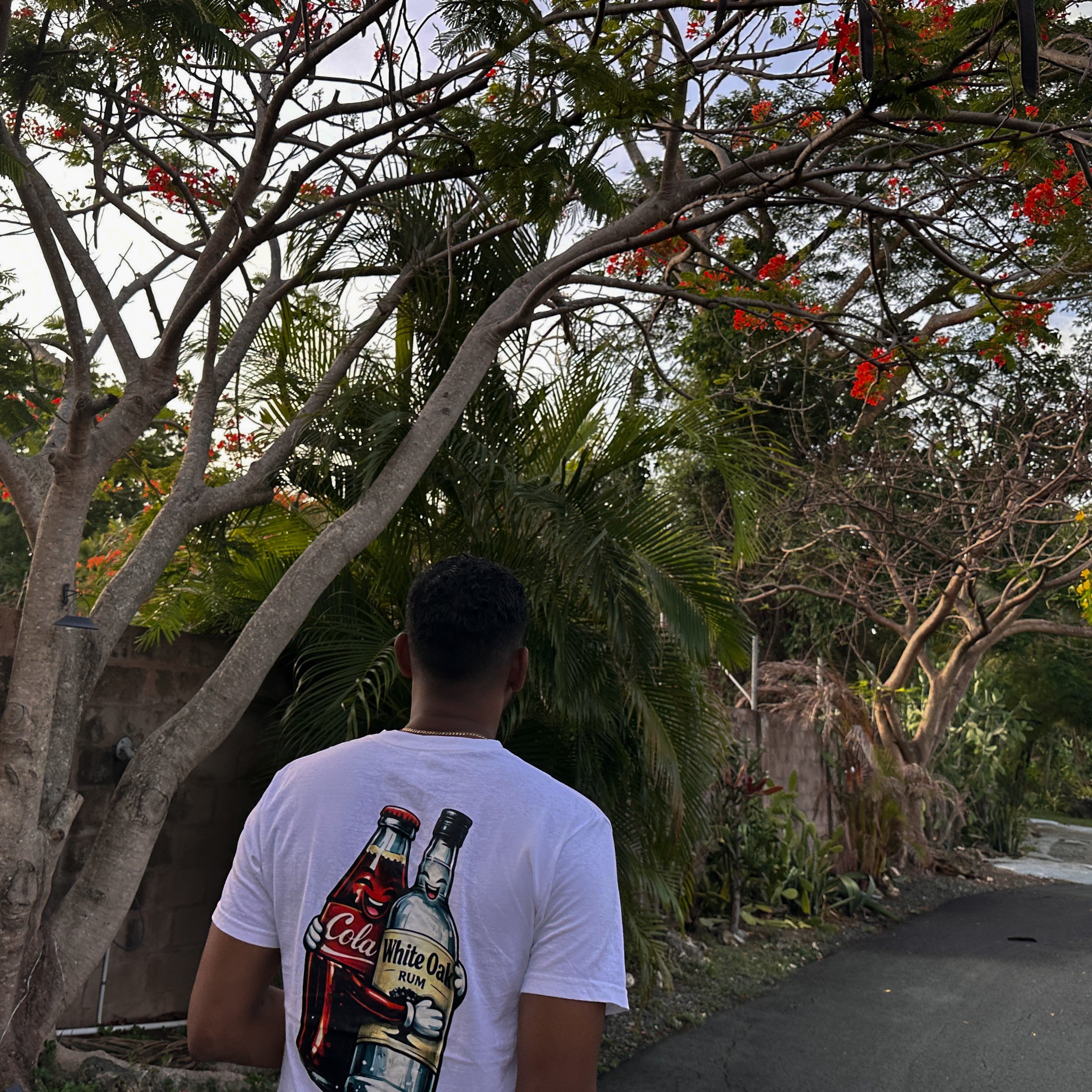 Oak & Cola Tee